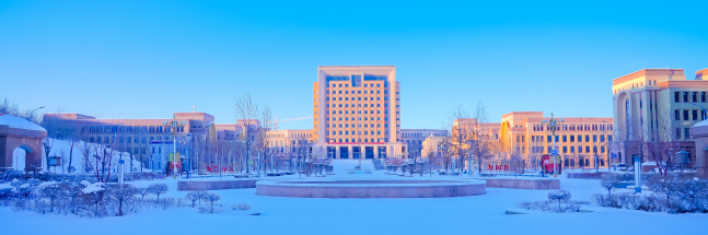 新师冬皑