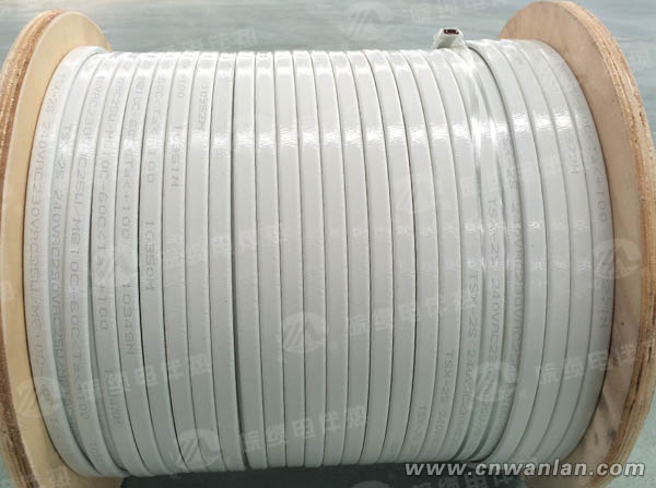 国产英国上市公司365电伴热带结构图