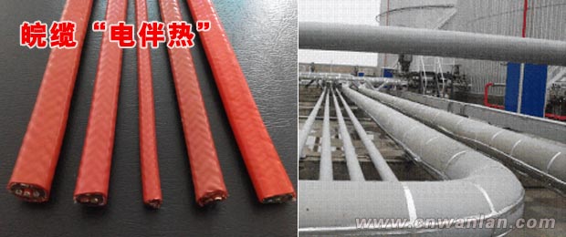 大型食用油储备罐电热带辅助加温