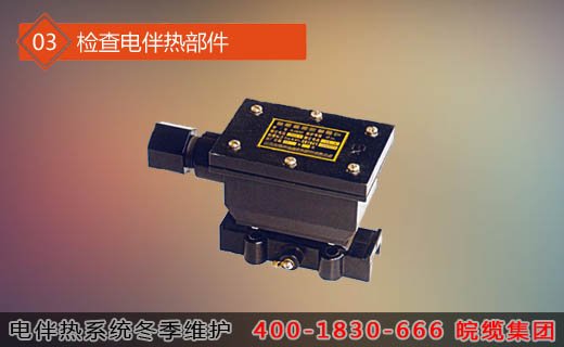 第三步骤：检查电伴热部件